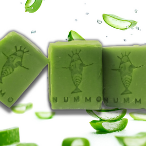 Aloe Vera Shampoo Bar